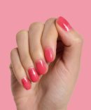 Spring Polish Set