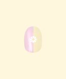 Colorblock Daisy | Round | Short